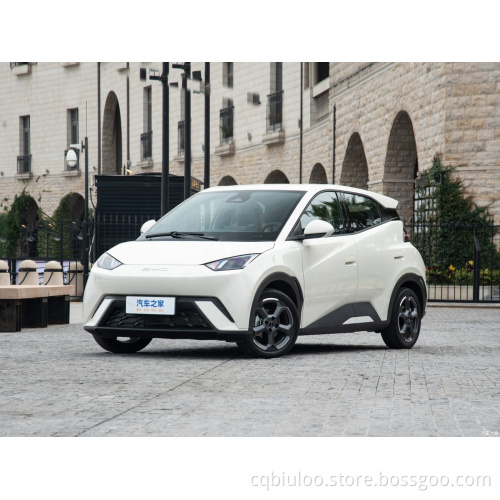BYD New Energy Electric Mini Car Four Seat Electric Car and High Speed Adult Mini Electric Car